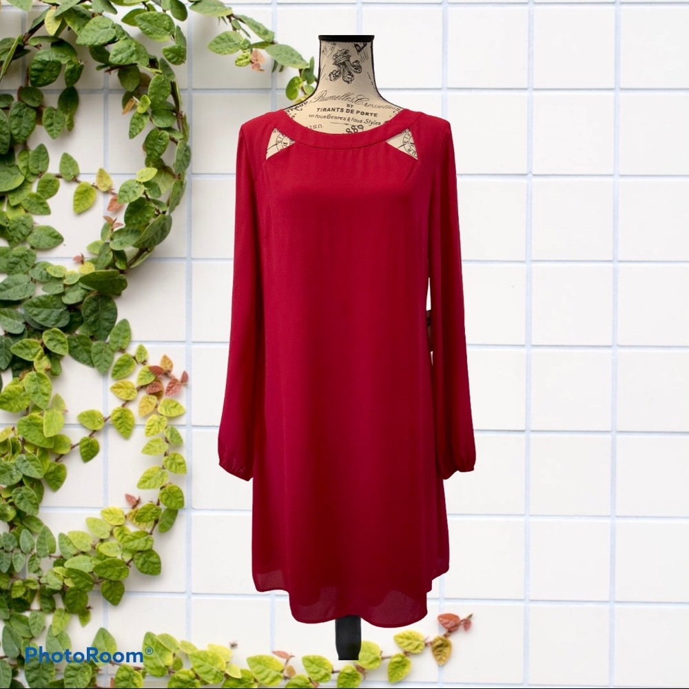 Beautiful Long Sleeve cutout Dress